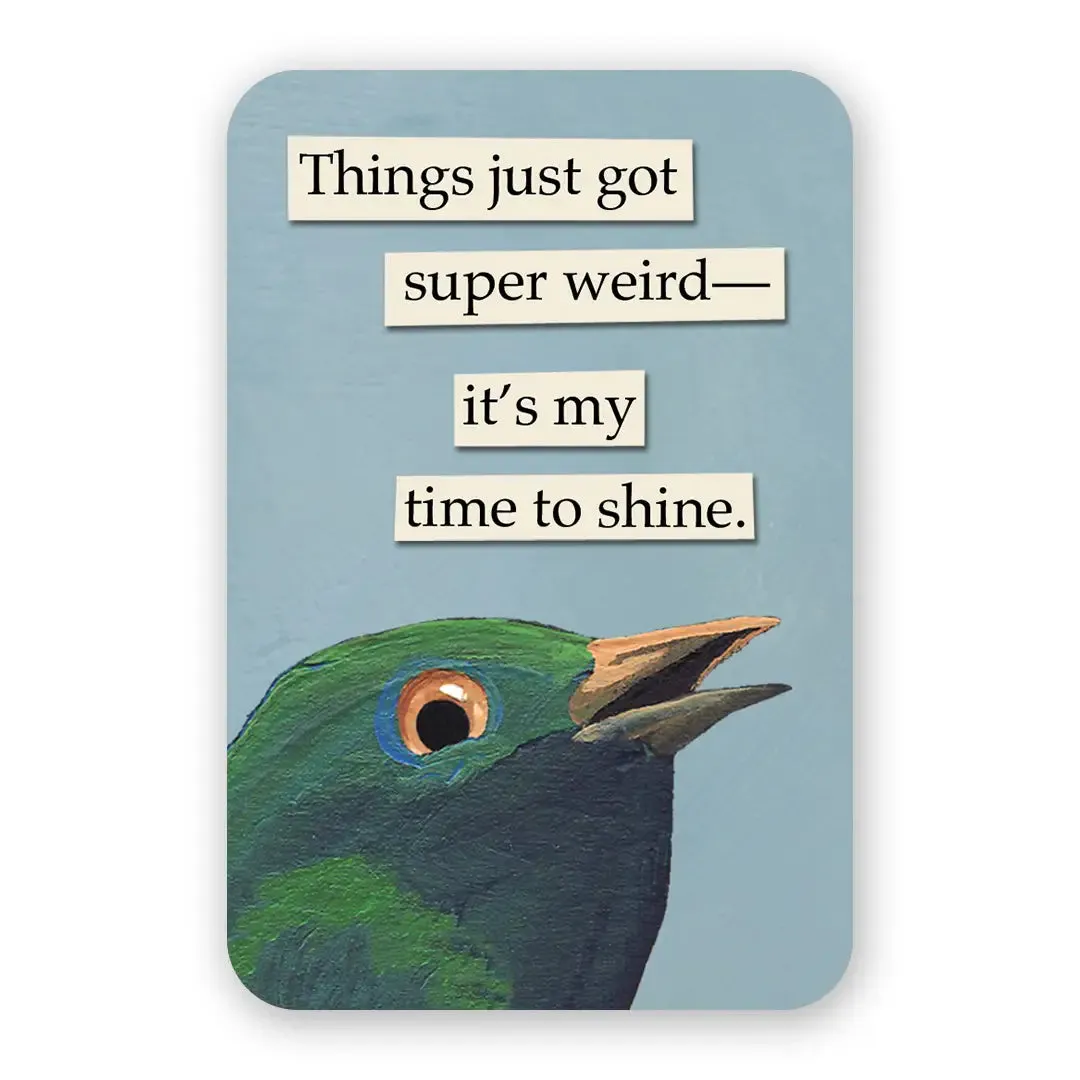 Troubled Birds: Vinyl Stickers {multiple styles}